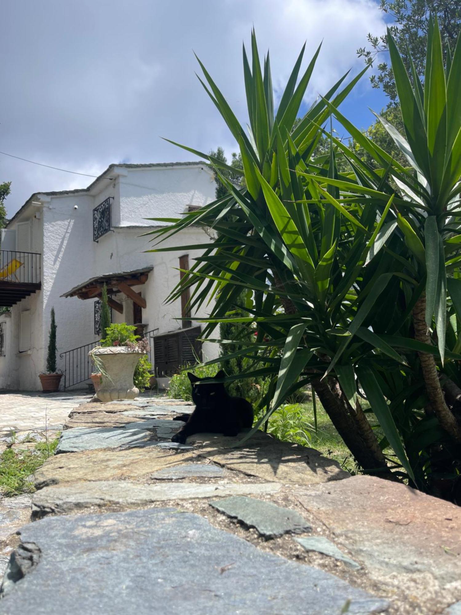Maison De Charme Avec Piscine Et Vue Exceptionnelle Scolca Buitenkant foto